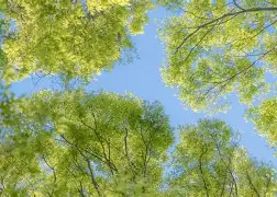 包含Ming有什么影响细节曝光的词条 包含Ming有什么影响细节曝光的词条